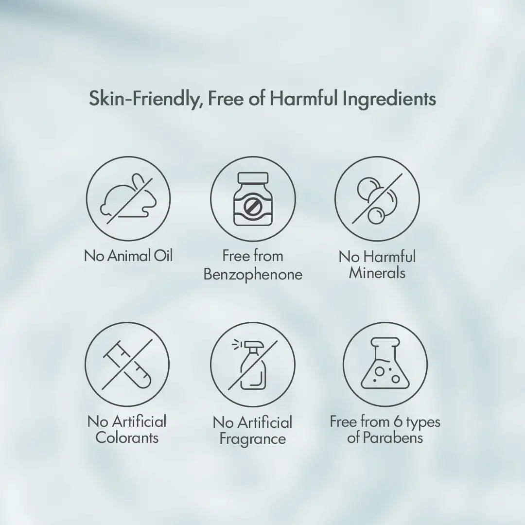 ACCOJE Protective No Sebum Sun Gel SPF50+ PA++++ | Oil-Control Matte Sunscreen Gel with Niacinamide & Aloe Vera | Lightweight Korean Sunscreen for Oily & Combination Skin | Broad Spectrum UV Protection– 50g