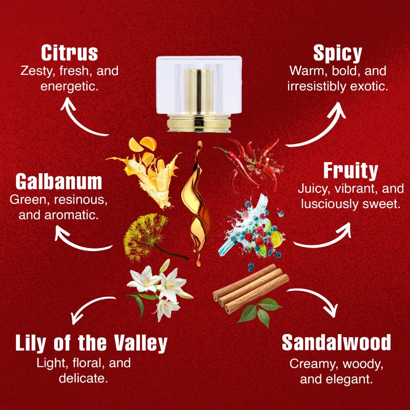 CHOGAN LOST LILY Extrait de Parfum – Citrus & Fruity Opening, Romantic Rose-Jasmine Heart, Soft Musk & Spiced Sandalwood Base | Sweet, Feminine & Long-Lasting Floral Fruity Scent | For Women | 100 ml