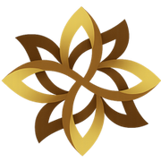 HEXA TRENDZ PRIVATE LIMITED logo